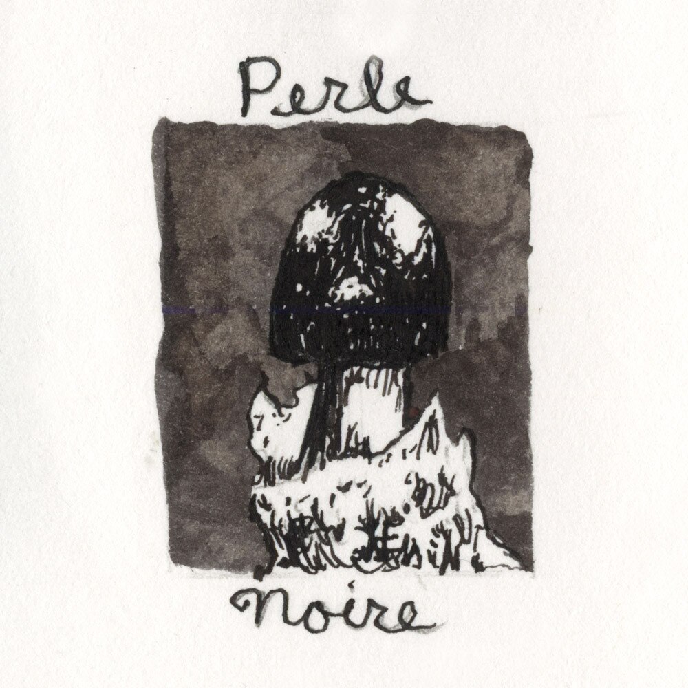 J.Herbin 10ml Fountain Pen Ink Perle Noire